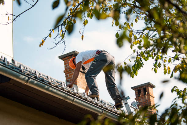 Best Sealant for Roof  in Hinton, WV