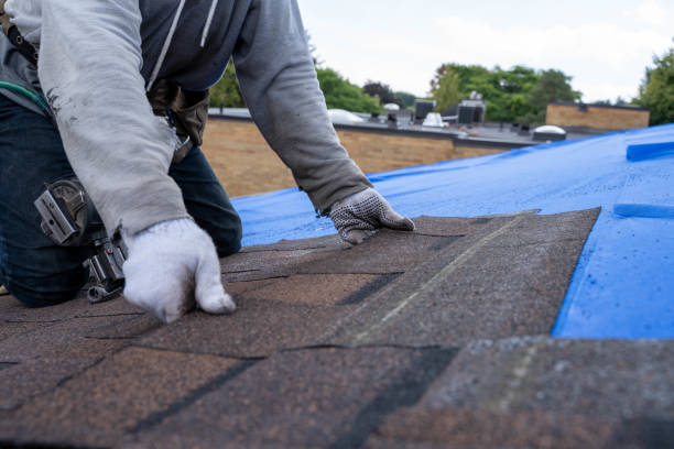 Best Flat Roof Repair Services  in Hinton, WV