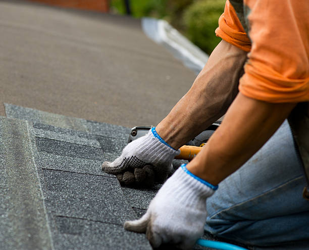 Roof Gutter Cleaning in Hinton, WV