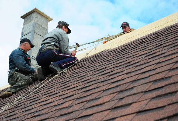 Best Shingle Roofing Installation  in Hinton, WV